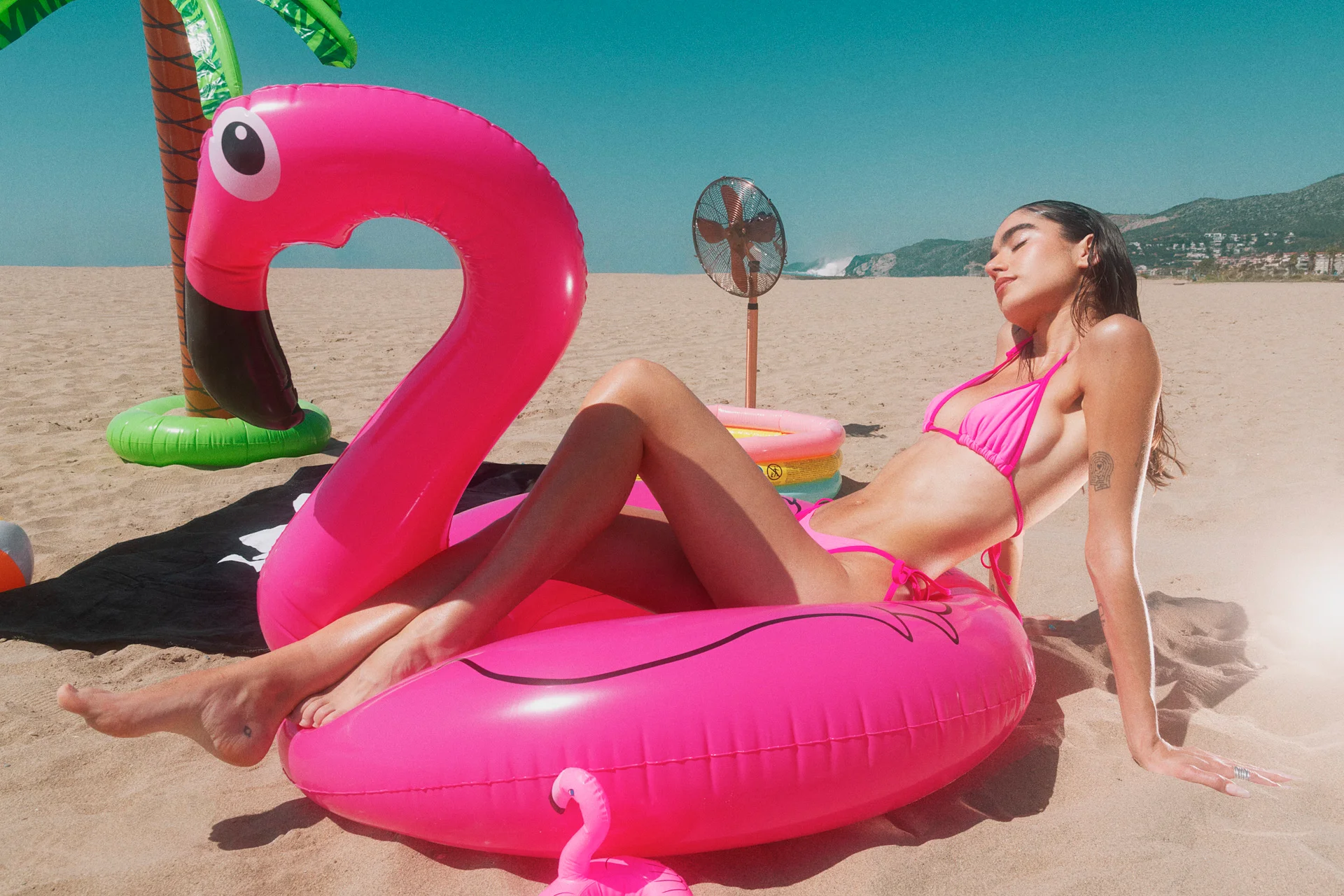Editorial piscina flamenco